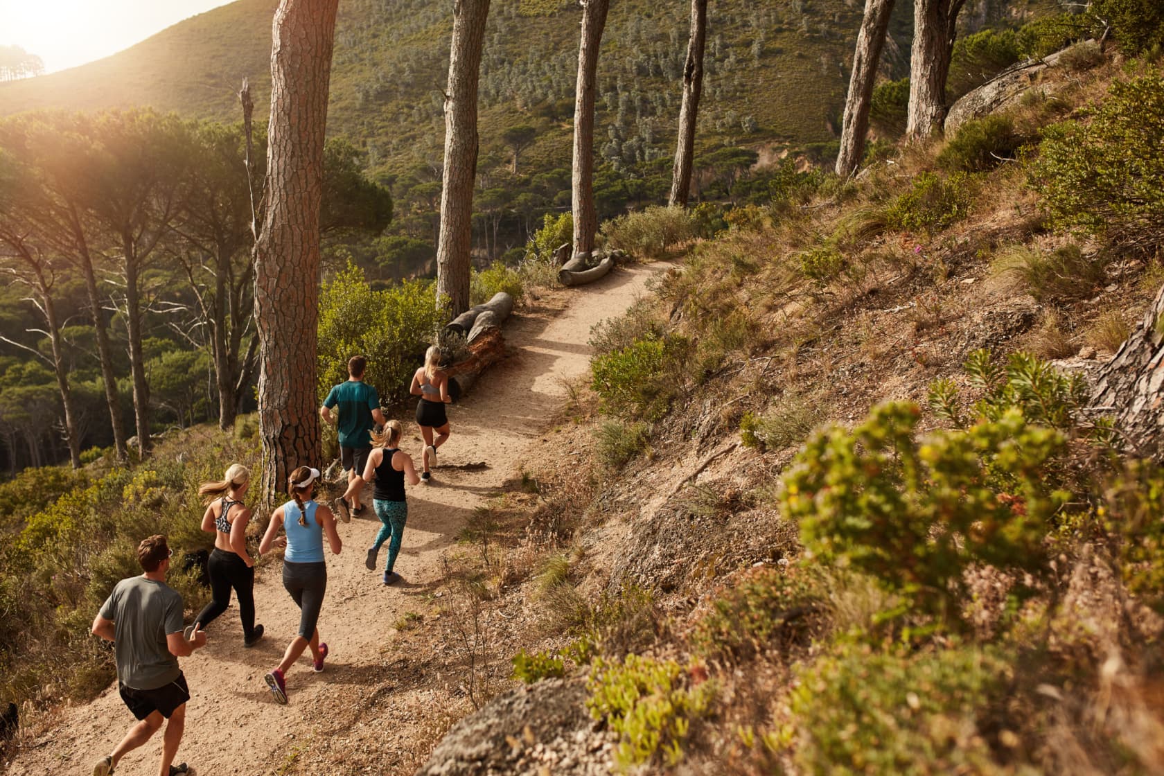 Runners on trail background